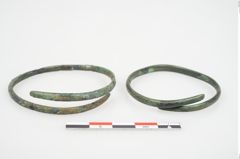 Foto von Bronzering (NHMW-PRAE-026627)